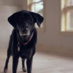 完整一级a免费 78o1p