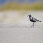 国产亚洲精品综合一区 jtdd440