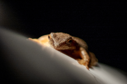 日本一区二区三区AV影视