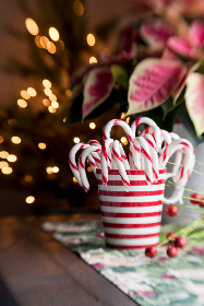 为什么manga不能用了：探讨其背后的原因与解决方案