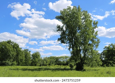 全面解析TV Box源制作的技巧与注意事项