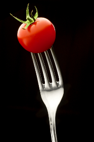 公主恋人第二季在线观看：浪漫冒险再续精彩篇章