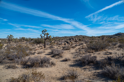 全面解析TV Box官方下载的步骤与注意事项