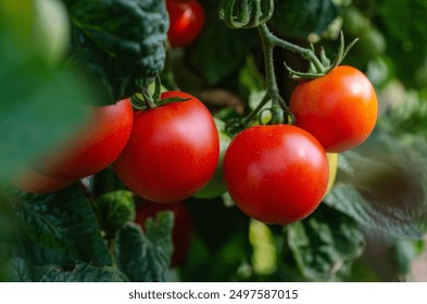 为你导航：探索人生道路上的每一个选择与可能性