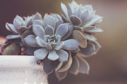 探索sky196雨花阁：城市中的静谧之地