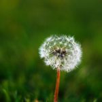 探索虾米音乐中的经典歌单推荐与分享 0j33e9b