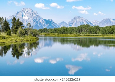 探索小小影视大全官网：尽享海量精彩影视资源