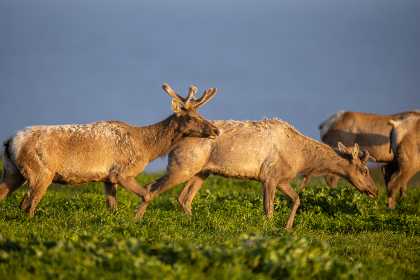 探索9 1短视频网站的魅力与发展趋势