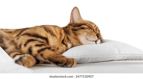 探索次元幻境：穿越时空的奇幻旅程