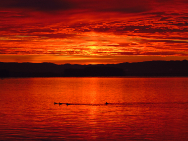 探索噼哩噼哩漫画的奇幻世界与精彩故事 探索噼哩噼哩漫画的奇幻世界与精彩故事