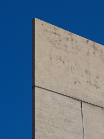 探索蘑菇51反差:揭示自然界的奇妙对比 探索蘑菇51反差:揭示自然界的奇妙对比