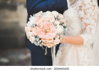 探索9.1免费版九妖：全新玩法与精彩内容解析