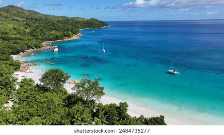 探索噼哩噼哩app官网：最新功能与使用指南