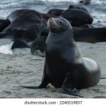 探索Fuktok:揭示其背后的意义与影响 r81g4dbcmu