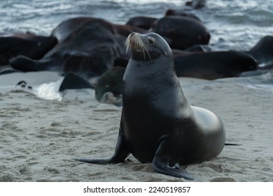 探索Fuktok：揭示其背后的意义与影响