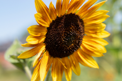 探索fuliba123：揭开其背后的秘密与魅力